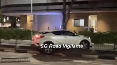 先撞中央分界堤再倒车撞草坪